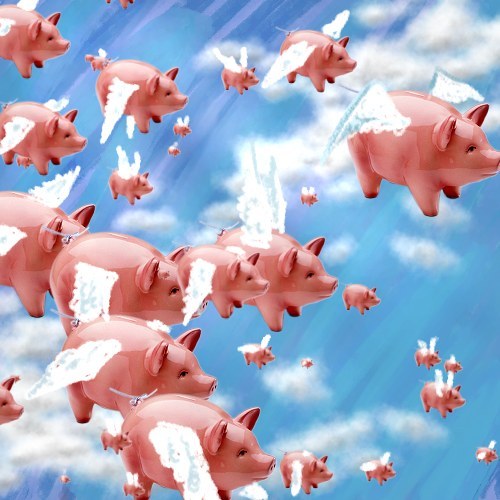 pigs_fly.jpg